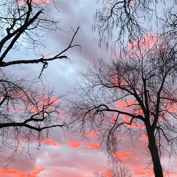 Meet your Posher, Claudette - Picture 1 of 1